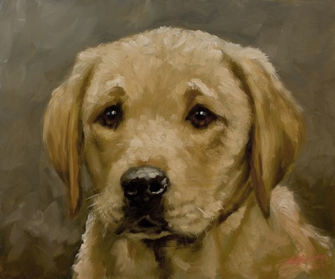 Framed Puppy 1 Print