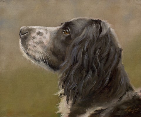 Framed Spaniel Print
