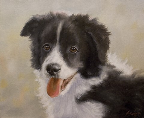 Framed Border Collie 11 Print