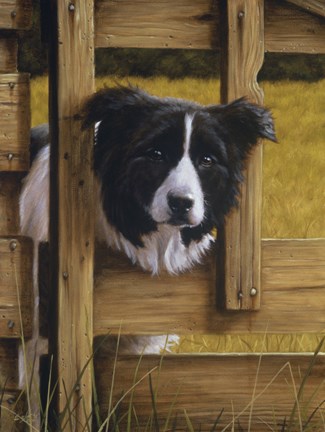 Framed Through the Fence Print