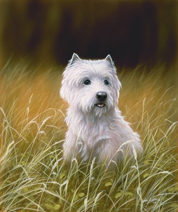 Framed Westie 4 Print