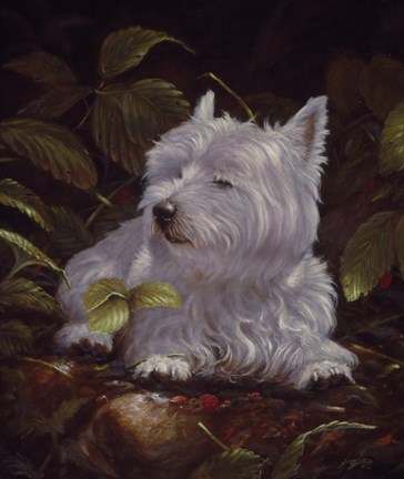 Framed Westie 6 Print