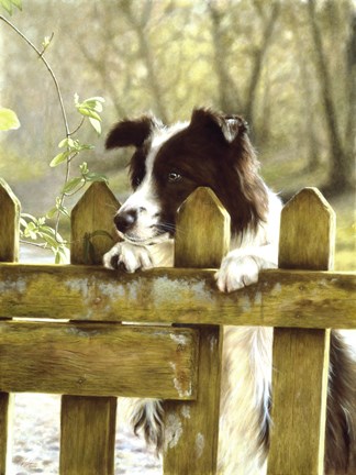 Framed Anxious Print