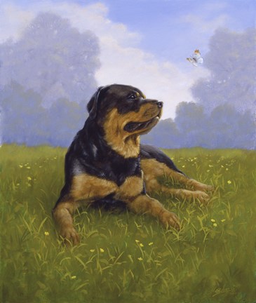 Framed In the Hills Print