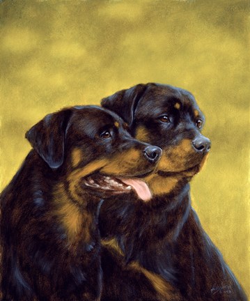 Framed Relaxed Print