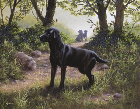 Framed On Alert Print