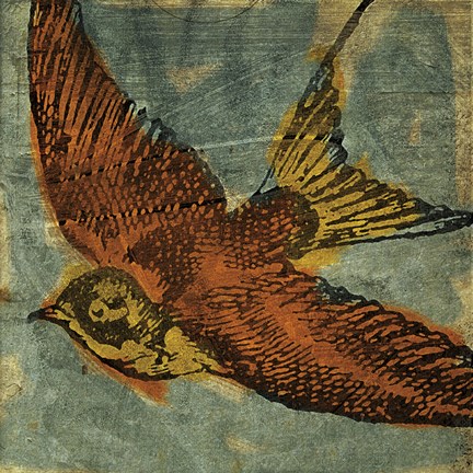 Framed Bird Collage No 1 Print