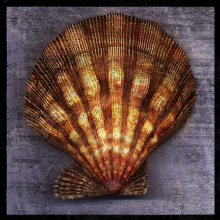 Framed Blush Rose Print