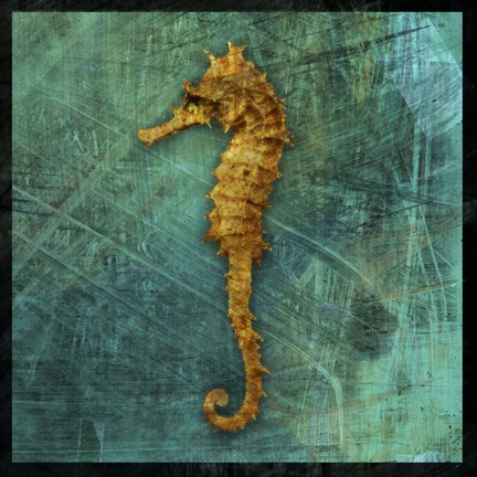 Framed Seahorse Print