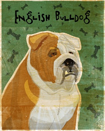 Framed English Bulldog Tan and White Print