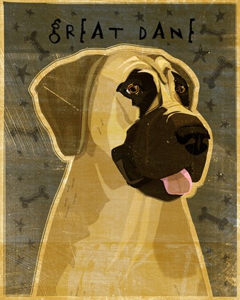Framed Great Dane 2 Print