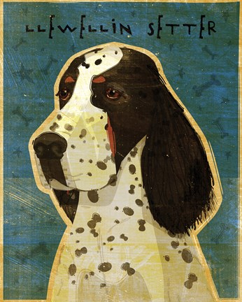 Framed Llewellin Setter Print
