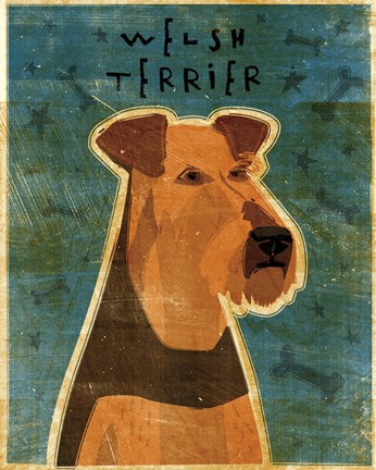 Framed Welsh Terrier Print