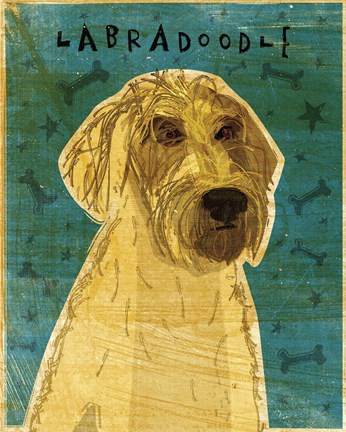 Framed Yellow Labradoodle Print