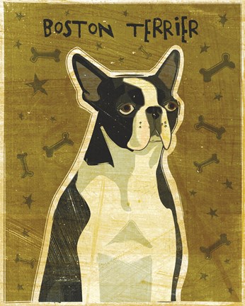 Framed Boston Terrier Print