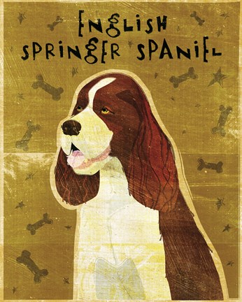 Framed English Springer Spaniel Print