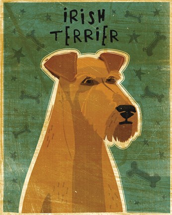 Framed Irish Terrier Print