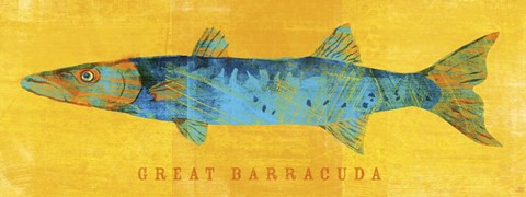 Framed Great Barracuda Print
