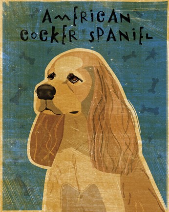 Framed American Cocker Spaniel (buff) Print