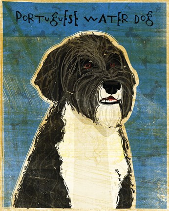 Framed Portuguese Water Dog Print