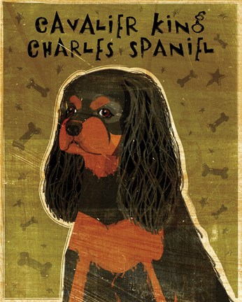 Framed Cavalier King Charles (black and tan) Print