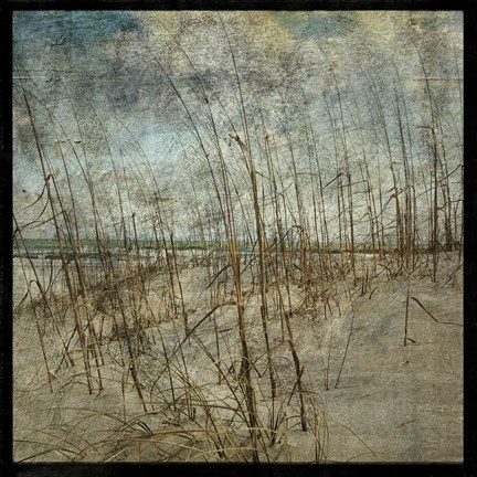 Framed Masonboro Island No. 6 Print