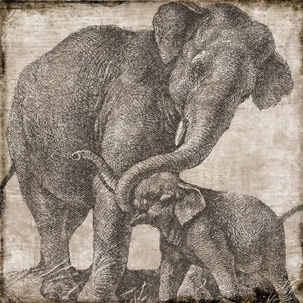 Framed Elephant 2 Print
