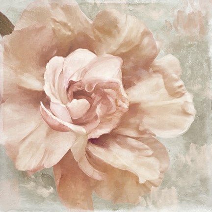 Framed Petals Impasto I Print