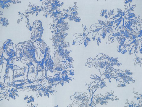 Framed Toile Fabrics V Print