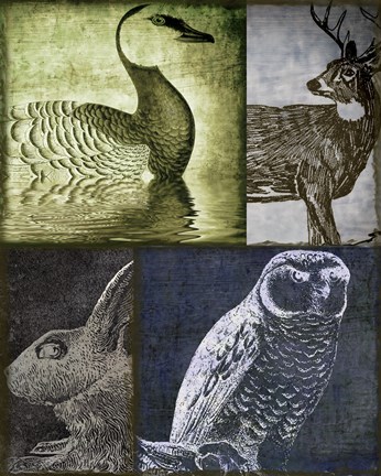 Framed Hunting Season VII Print