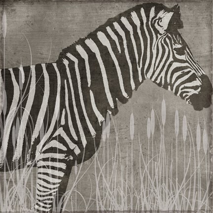 Framed Zebra Print