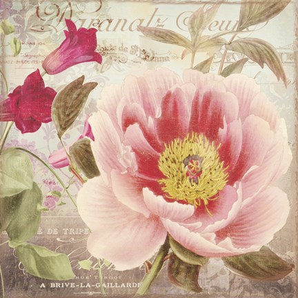 Framed Aphrodite I Print