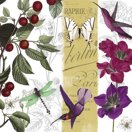 Framed Cherry Picked II Print