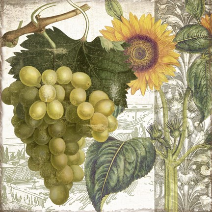 Framed Dolcetto III Print