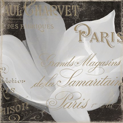 Framed Fleurs Blanc II Print