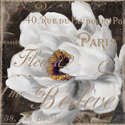 Framed Fleurs Blanc III Print