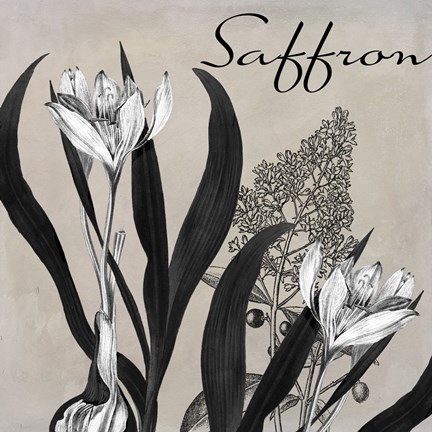 Framed Flowering Herbs I Print