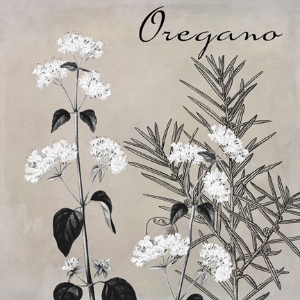 Framed Flowering Herbs II Print