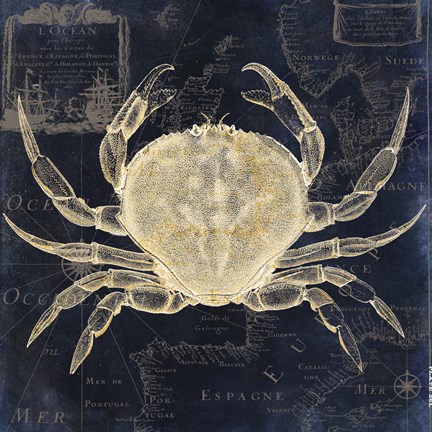 Framed Maritime Blues III Print