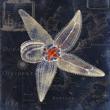 Framed Maritime Blues IV Print