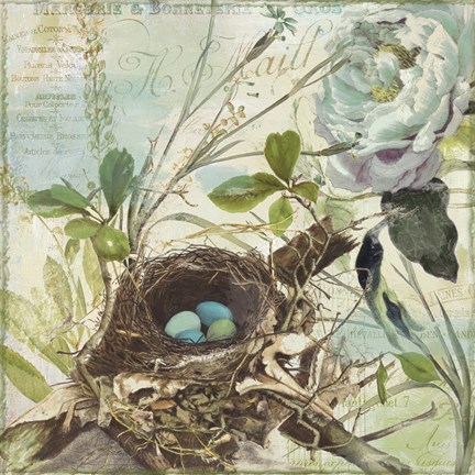 Framed Nesting II Print