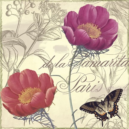 Framed Petals of Paris I Print