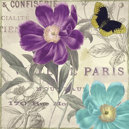 Framed Petals of Paris II Print