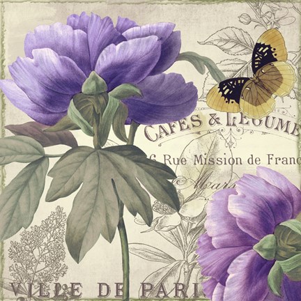 Framed Petals of Paris IV Print