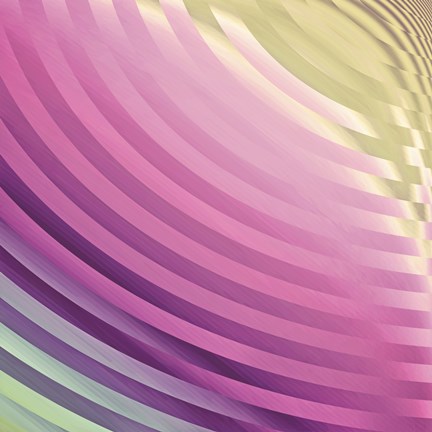 Framed Satin III Print