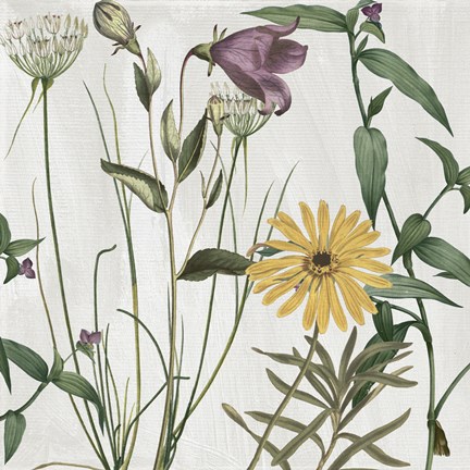 Framed Softly I Print