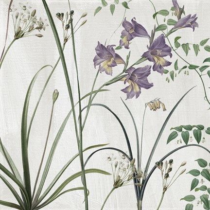 Framed Softly III Print