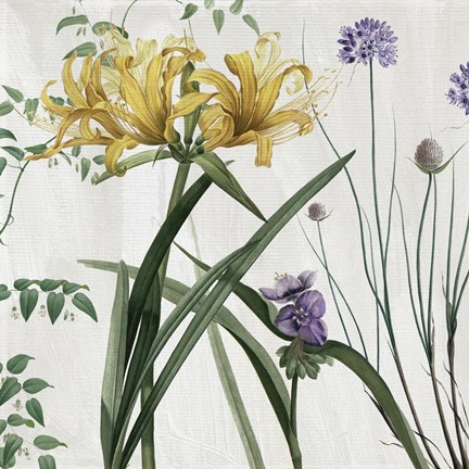 Framed Softly IV Print