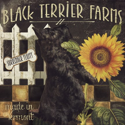 Framed Vermont Farms V Print