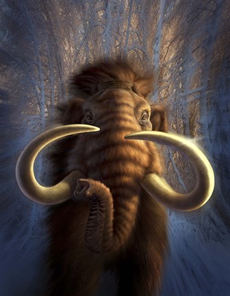 Framed Woolly Mammoth in Snow Print